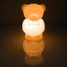 Светильник пластиковый Медвежонок Junior Lighting 240х220х400 мм