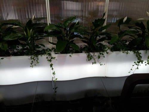 Кашпо пластиковое светящееся Prive Lighting белый 860х480х1600 мм